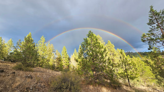 Unplug From The Matrix Of This World!