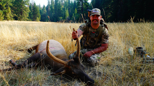 Why Elk?