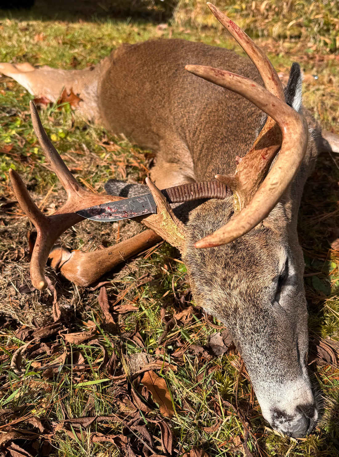 The Creation Speaks: If you listen: A Testimony from Taylor Bergeron