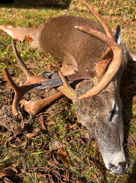 The Creation Speaks: If you listen: A Testimony from Taylor Bergeron